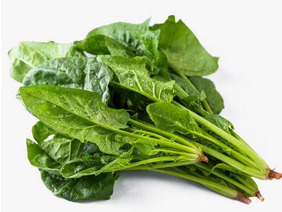 毛根生养发护发分享-秋冬美食养发,赢在起跑线!